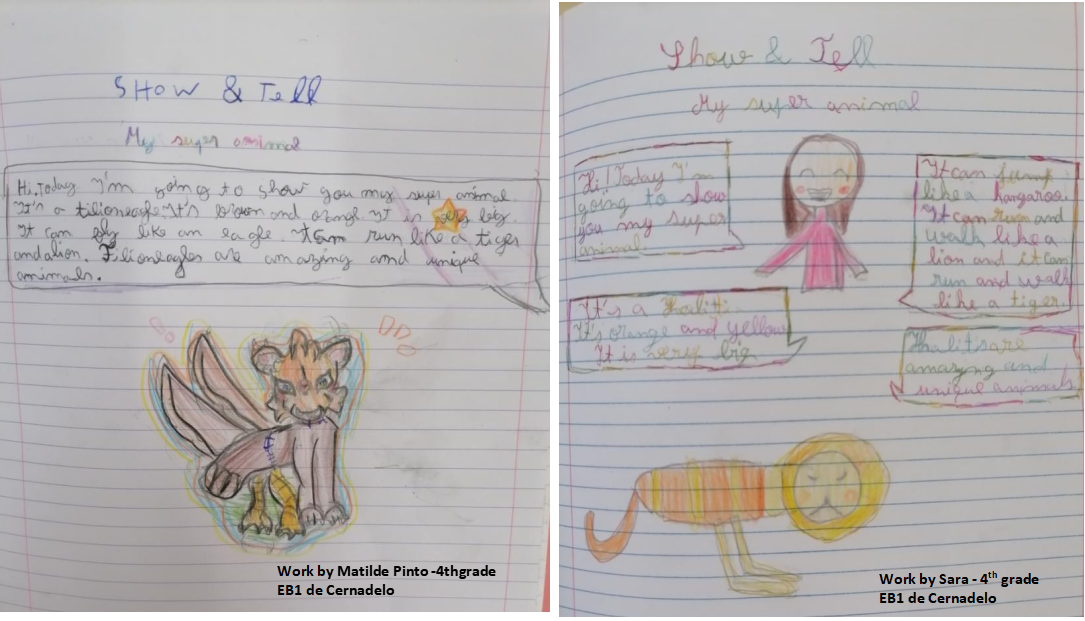 Show & Tell Activity