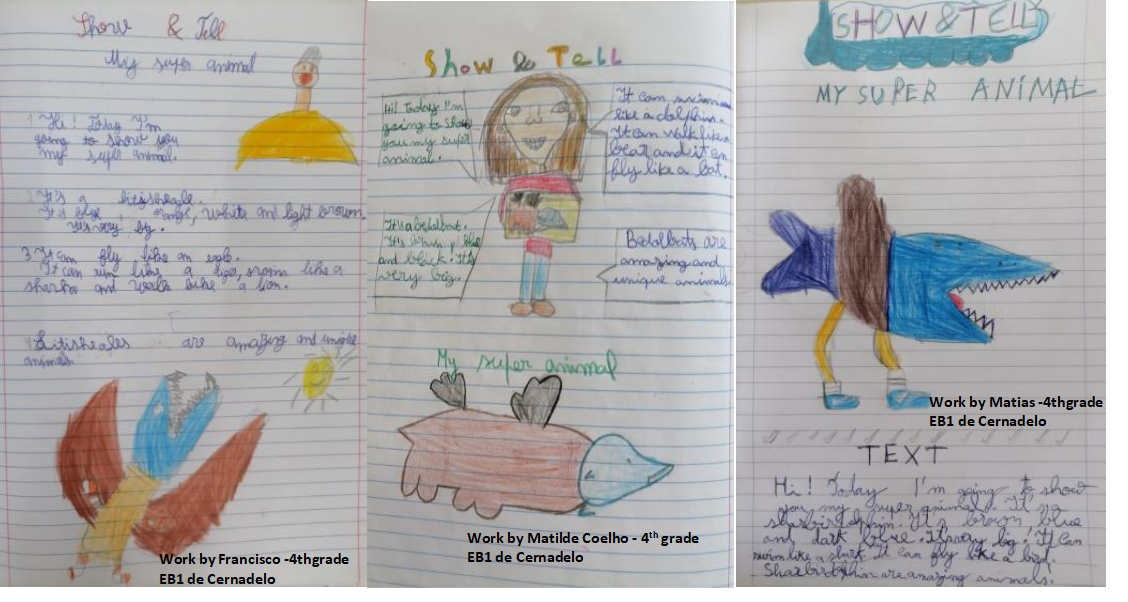 Show & Tell Activity